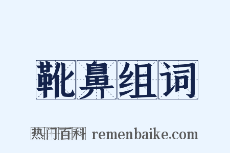 靴鼻组词是什么意思的图片